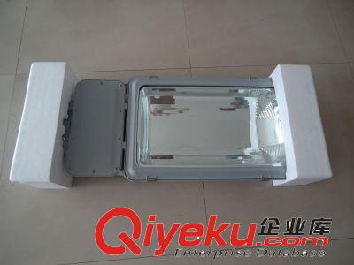 專業(yè)供應(yīng)無極燈路燈 300W# 【常州電器箱工礦燈廠家】原始圖片2