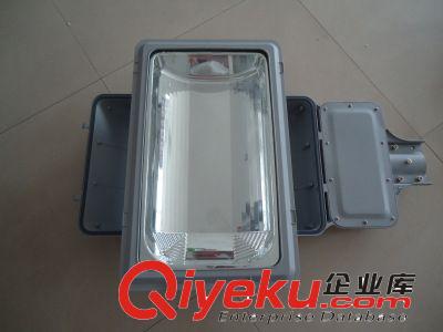 專業(yè)供應(yīng)無極燈路燈 300W# 【常州電器箱工礦燈廠家】原始圖片3