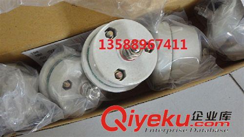 樂(lè)清生產(chǎn)JBO擊穿保險(xiǎn) 220V 500V 380V JB0擊穿保險(xiǎn)原始圖片3