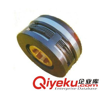 供應 DLM3-2.5A (5A 10A 16A 25A 40A 63A)電磁離合器原始圖片3