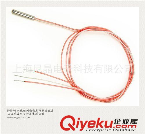 WZPM電機軸承測溫鉑熱電阻傳感器 發(fā)電機 德國進口芯片原始圖片3