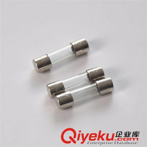 飛二單帽陶瓷保險(xiǎn)管F1A/F2A/T2A/T5A 3*10mm