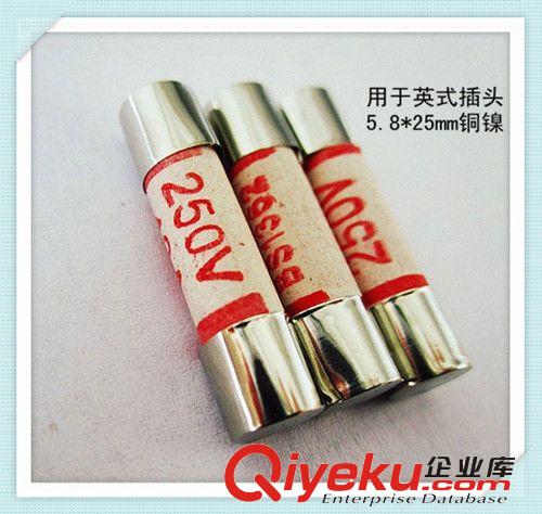 廠供陶瓷保護(hù)器件保險絲5.8×25mm13A