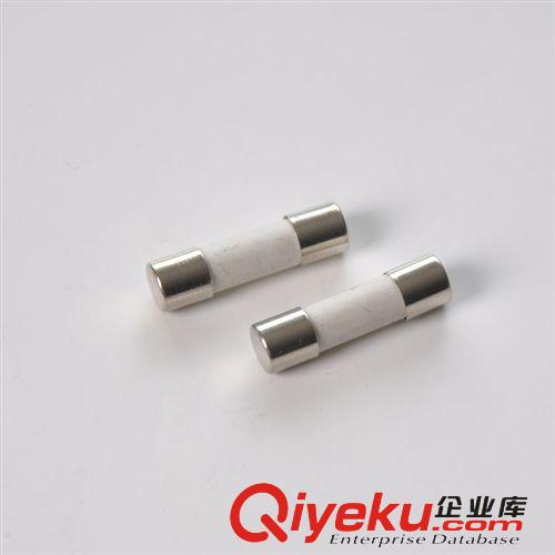 廠家熱銷環(huán)保F/快速小型國標5*20單體陶瓷溫度保險絲陶瓷原始圖片3