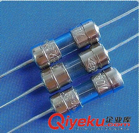 杭州網(wǎng)銷ST310飛二雙帽4*10保險(xiǎn)絲0.5A1A2A2.5A3A5A6.3A品優(yōu)價(jià)廉