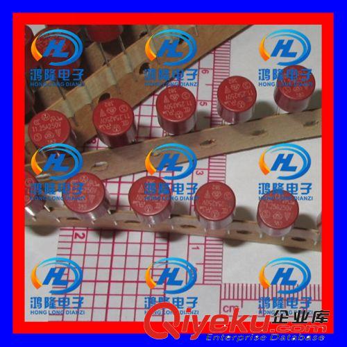 T4A 250V 4A 圓柱型保險絲 塑封保險管372 棕紅色 保險絲管