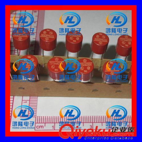 T315MA 250V 0.315A 圓柱型保險絲 塑封保險管 棕紅色 保險絲管