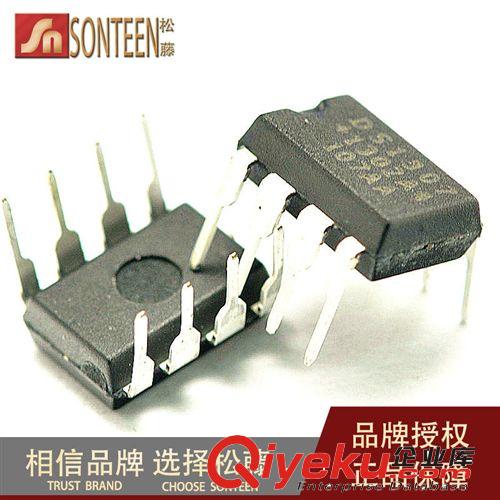 松藤|(zhì)DS1302 DS1302N 時鐘電路/時鐘/計時-實時時鐘 DIP-8(20個)