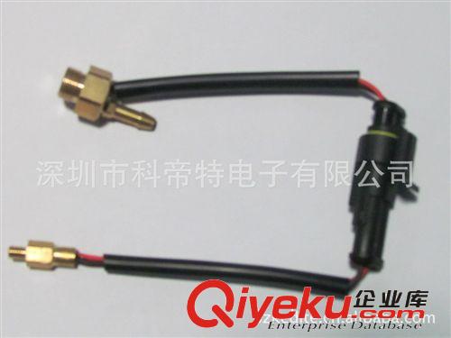 汽車溫度傳感器，汽車溫度探頭原始圖片2
