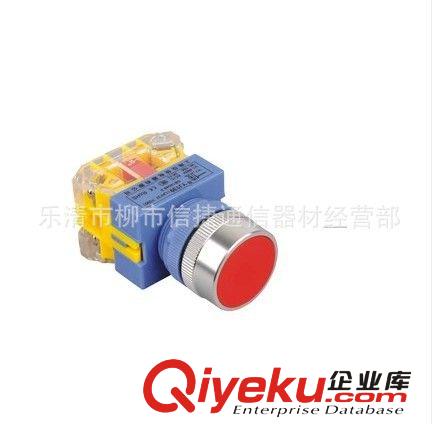 特價直銷上海一佳自復鈕 平鈕YJ139（LAY37-11BN Y090）原始圖片3