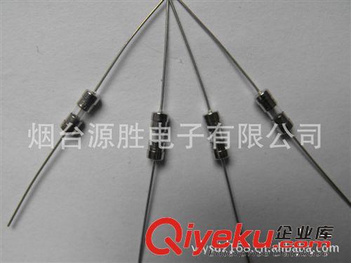 廠家玻璃管保險(xiǎn)絲管 高質(zhì)量溫控保險(xiǎn)絲管