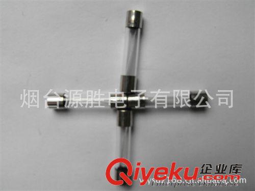 【企業(yè)集采】批發(fā)供應(yīng) 5*20全玻璃保險(xiǎn)絲 3.6*10雙帽引線原始圖片3