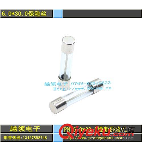 供應機箱電源5*20T6A250V-UL/CSA玻璃單體慢斷保險絲管