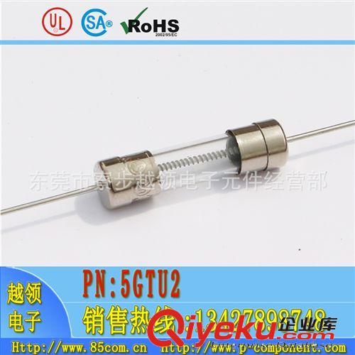 優(yōu)質(zhì)供應(yīng)5X20T10A250V-UL-CSA-ROHS玻璃雙帽保險絲管