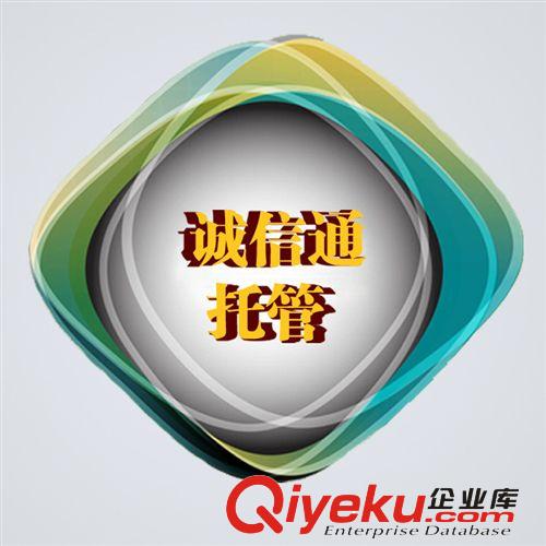 廣州誠信通 誠信保障 網勝互聯(lián) 阿里巴巴托管佛山優(yōu)質運營商