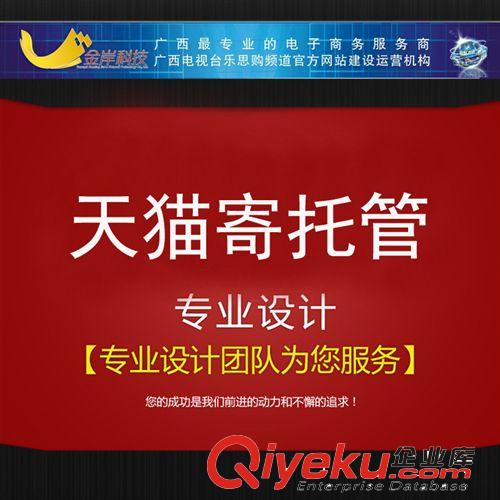 金岸 淘寶天貓商城技術托管 美工 直通車推廣 技術崗位運營服務原始圖片3