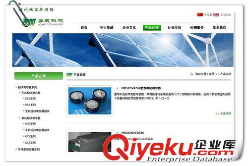 中英文外貿(mào)企業(yè)網(wǎng)站建設(shè),美國(guó)服務(wù)器,網(wǎng)站設(shè)計(jì),尾款支付連接原始圖片2