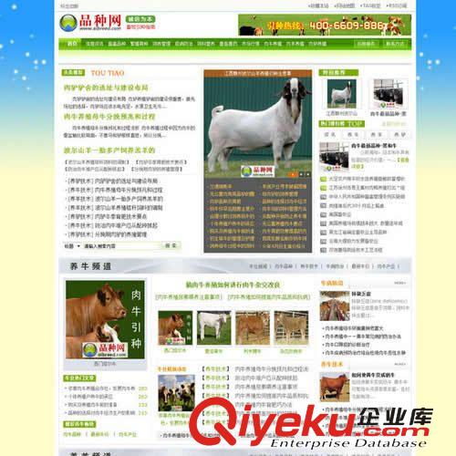 行業(yè)門戶網(wǎng)站 門戶網(wǎng)站建設(shè) 宇盈網(wǎng)建 燕郊網(wǎng)建 網(wǎng)頁(yè)制作 燕郊
