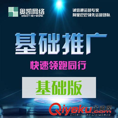 全球速賣通托管 國際站店鋪建設(shè) 誠信通托管 阿里巴巴全托