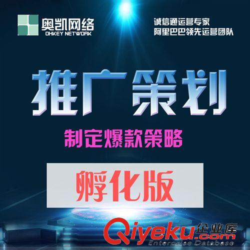 阿里巴巴第三方托管 誠(chéng)信通托管 成長(zhǎng)版店鋪運(yùn)營(yíng) 全優(yōu)托管服務(wù)
