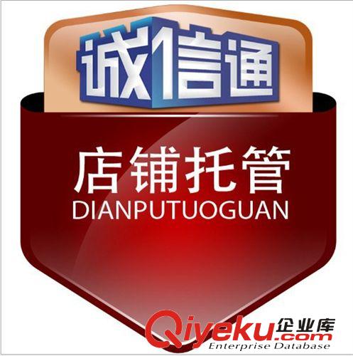 蘇州阿里巴巴托管中心 標準版旗艦店加一年專業化店鋪托管服務