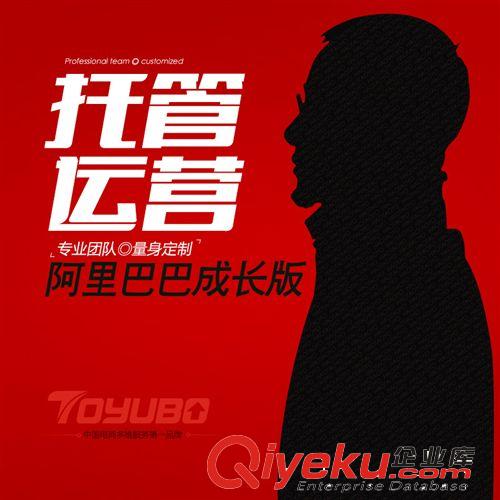 【淘寶店鋪托管 誠信通托管 阿里巴巴托管 天貓托管】阿里專業(yè)版