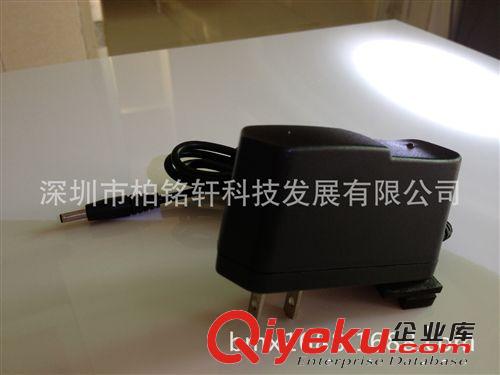 12V1000MA環(huán)保美規(guī)適配器 12V1A美規(guī)臺燈適配器 12W適配器