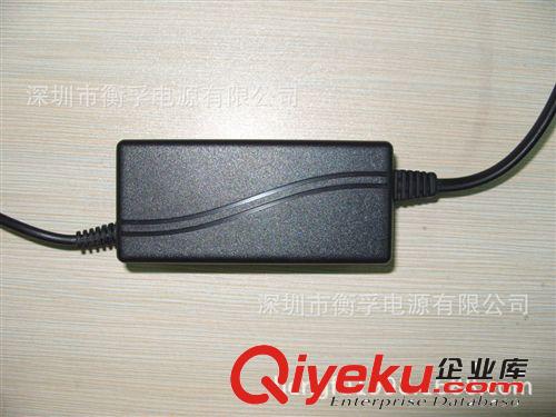 12V1A  兩端出線式 電源適配器