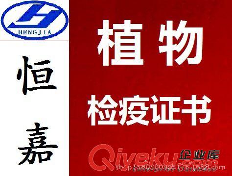 深圳進出口代理|貨物進出口報關原始圖片2