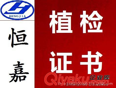 強(qiáng)勢(shì)進(jìn)出口公司 強(qiáng)力進(jìn)出口公司 實(shí)力進(jìn)出口公司 老牌進(jìn)出口公司