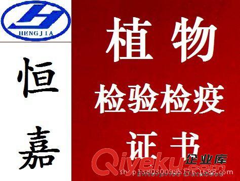 強(qiáng)勢(shì)進(jìn)出口公司 強(qiáng)力進(jìn)出口公司 實(shí)力進(jìn)出口公司 老牌進(jìn)出口公司原始圖片3