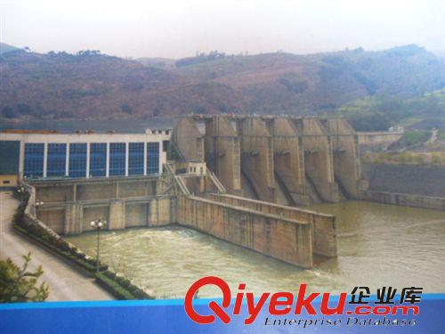 供應(yīng)水力發(fā)電機(jī)水閘橡膠密封件原始圖片3