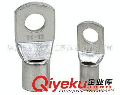 壓軋端子 線耳 冷壓端子 SC25-10原始圖片2