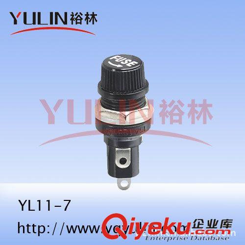 【廠家直銷】溫度保險絲BLX-4大扁5*20   FILN飛林原始圖片3