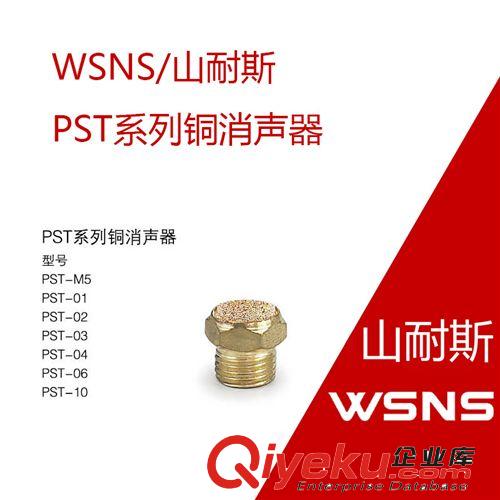 WSNS/山耐斯 PSV系列 銅消聲器