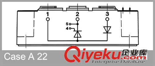 SEMIKRON/西門康/賽米控 可控硅/晶閘管 SKKT 162/16E