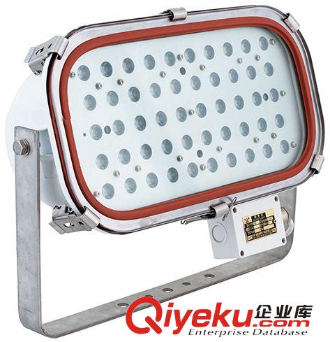 供應(yīng)LED光源船用投光燈船舶燈具LED投光燈 TG20