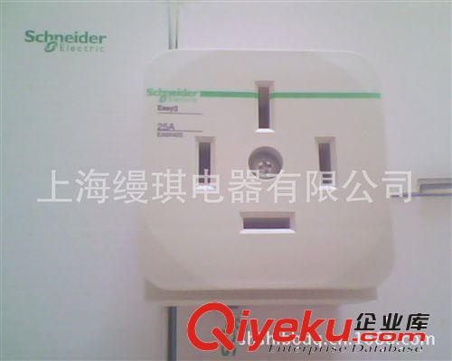 Schneider/施耐德EA9X導(dǎo)軌插座 EA9X316 2P 10A.4P 25A