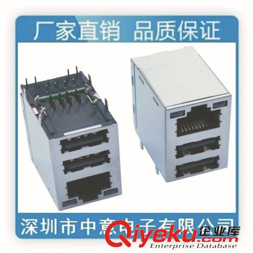 j45母座、rj45插座、rj45網(wǎng)絡(luò)接口、RJ45+雙USB 6P TAB UP