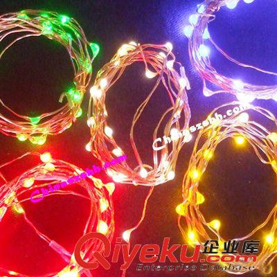 【圣誕特別推薦】LED銅線燈銀線燈裝飾燈串原始圖片2