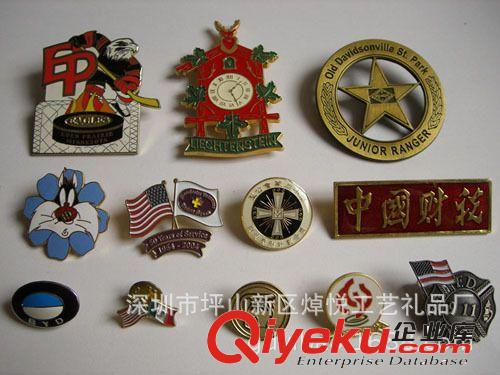 商務(wù)徽章 企業(yè)商務(wù)徽章定制 精美金屬徽章胸章系列原始圖片2