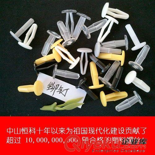 塑料鉚釘廠家直銷 批發空心塑膠鉚釘 加工定制尼龍鉚釘原始圖片2