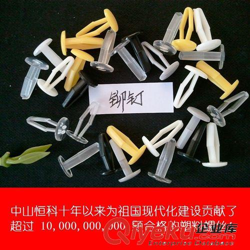 塑料鉚釘廠家直銷 批發空心塑膠鉚釘 加工定制尼龍鉚釘原始圖片3