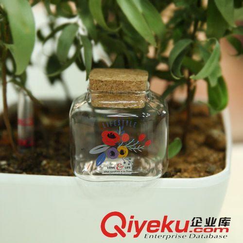 韓國(guó)文具 LGYD-2982伊甸園方收納瓶/禮品/小瓶子/工藝品13467原始圖片3
