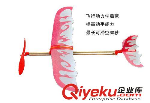 雷鳥橡皮筋動力DIY模型飛機/雷鳥橡皮筋飛機中小學生科普教材批發(fā)原始圖片3