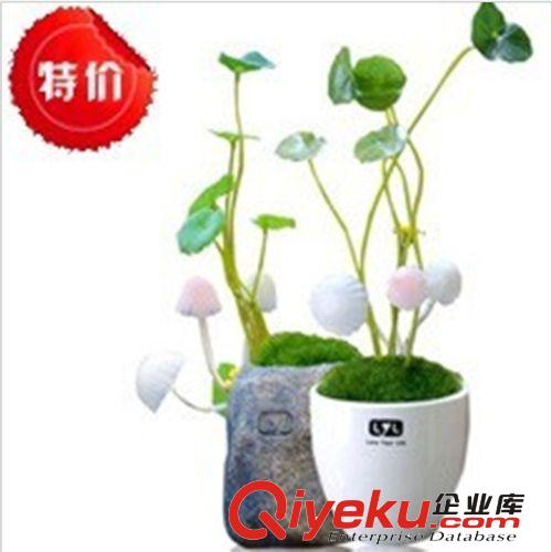 2014熱賣創(chuàng)意禮品 阿凡達(dá)蘑菇燈 光控感應(yīng)插座小夜燈批發(fā)原始圖片3