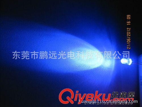 厂家直推 LED5MM蓝光 蓝色灯珠 品优价廉