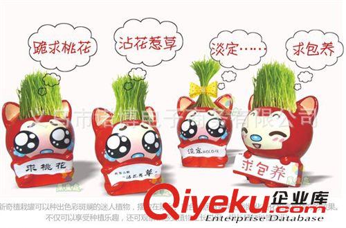 2012{zx1}款~創意迷你盆栽 卡通狐貍系列精品栽培 辦公室桌面栽培
