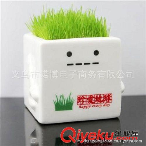 地球之子系列栽培 創意迷你桌面植物 易養迷你盆景批發