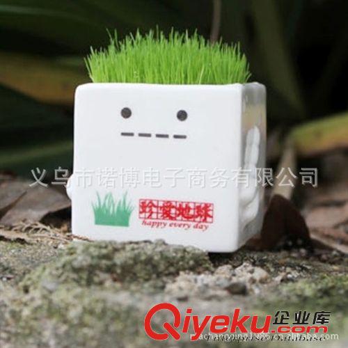 地球之子系列栽培 創意迷你桌面植物 易養迷你盆景批發原始圖片2